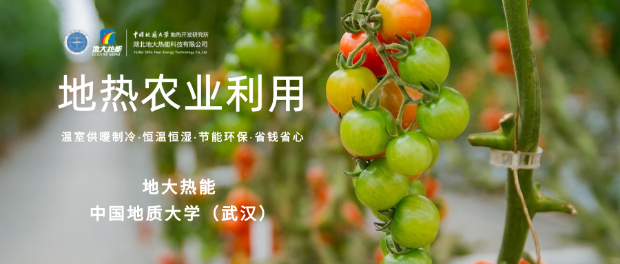 利用地熱解決糧食生產問題并促進發展-地熱資源開發利用-地大熱能 利用地熱解決糧食生產問題并促進發展-地熱資源開發利用-地大熱能